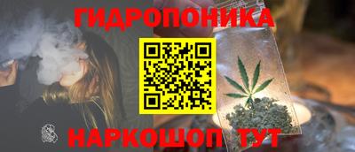 сатива Пыть-Ях