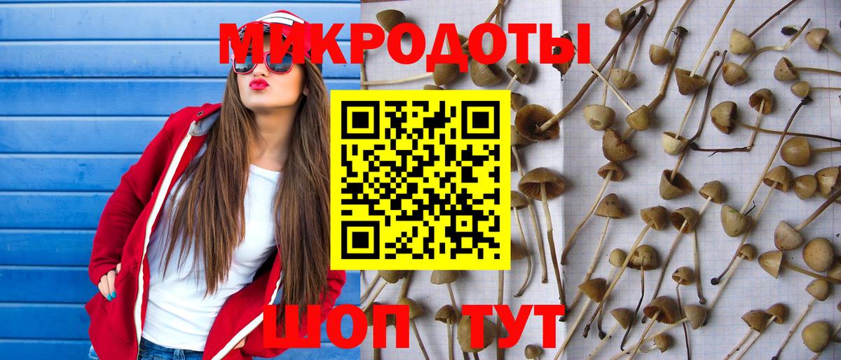 Псилоцибиновые грибы прущие грибы Севастополь